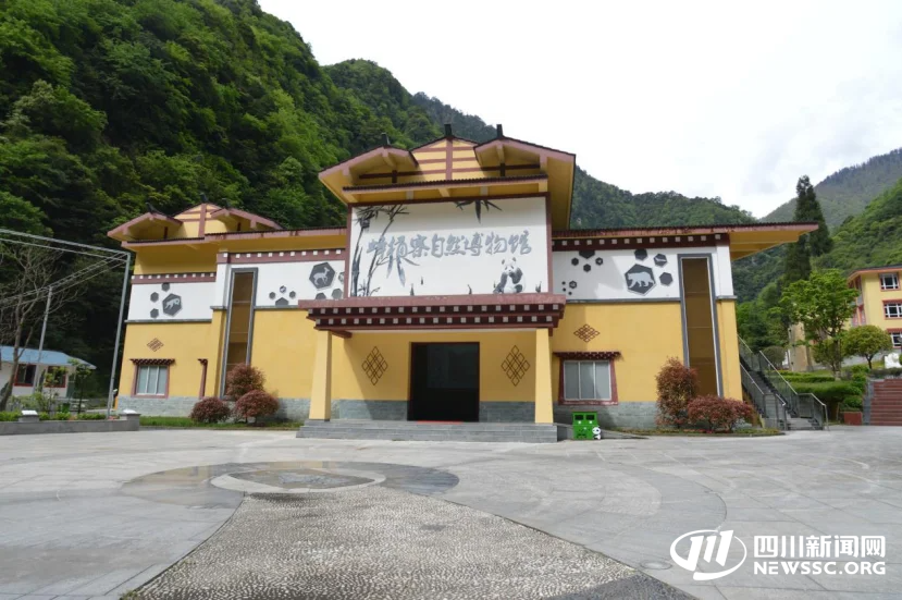 四川环保世纪行聚焦雅安：大熊猫国家公园成自然教育“活课堂”
