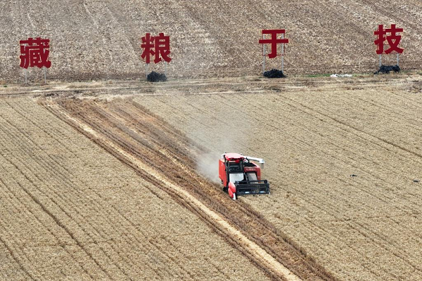 【高质量发展看陕西】乡村振兴，这边“丰”景独好