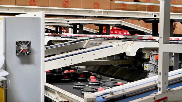 【高质量发展看陕西】乡村振兴，这边“丰”景独好