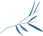 李白的“朋友圈”