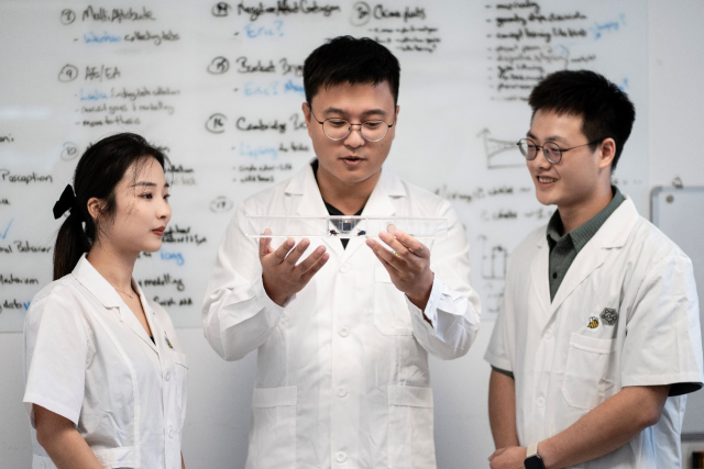 广东科学家:大黄蜂也能“共情”,“情绪传染”的现象起源可能更早 广东科学家:大黄蜂也能“共情”,“情绪传染”的现象起源可能更早