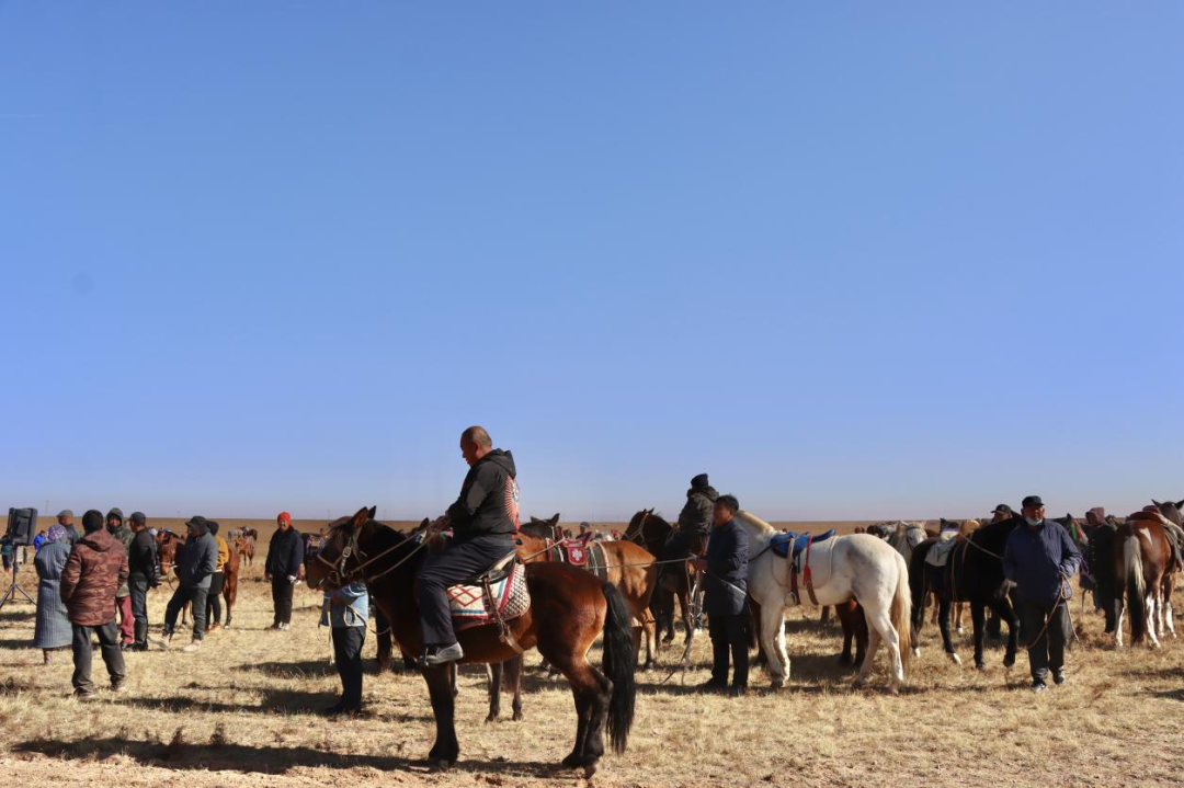 iQOO Z9x 5G手机限时特惠