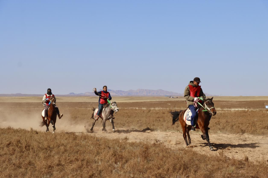 模型“跑”在云端　成果“落”入田间