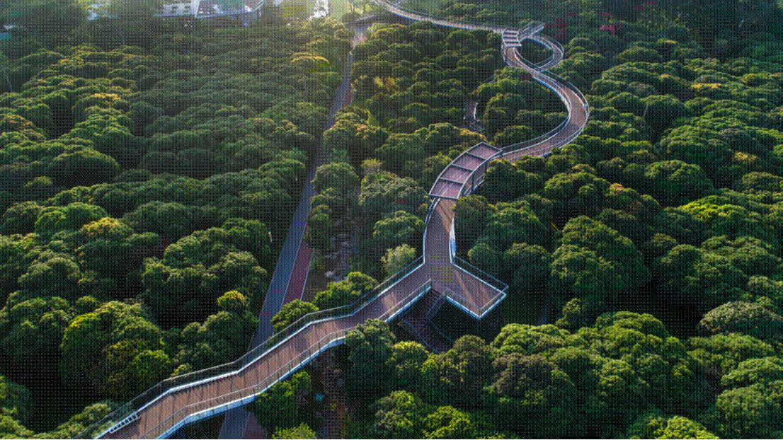 深看湾区 | 福田区·香蜜湖:践行“五个首善”,打造美好生活样板街道 深看湾区 | 福田区·香蜜湖:践行“五个首善”,打造美好生活样板街道