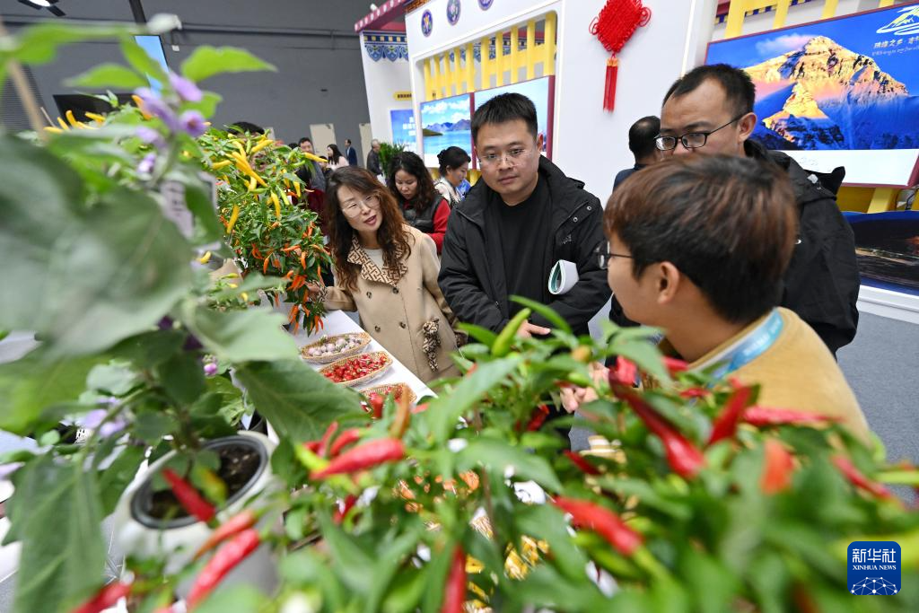 第32届中国杨凌农高会探寻农业新质未来