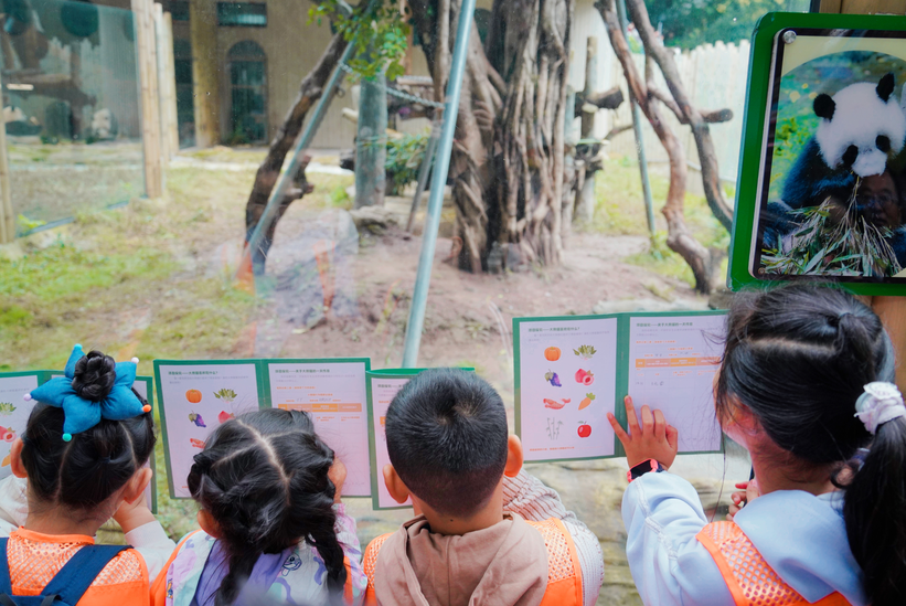 重庆巾帼园开展“家伴智未来”家庭教育实践营活动