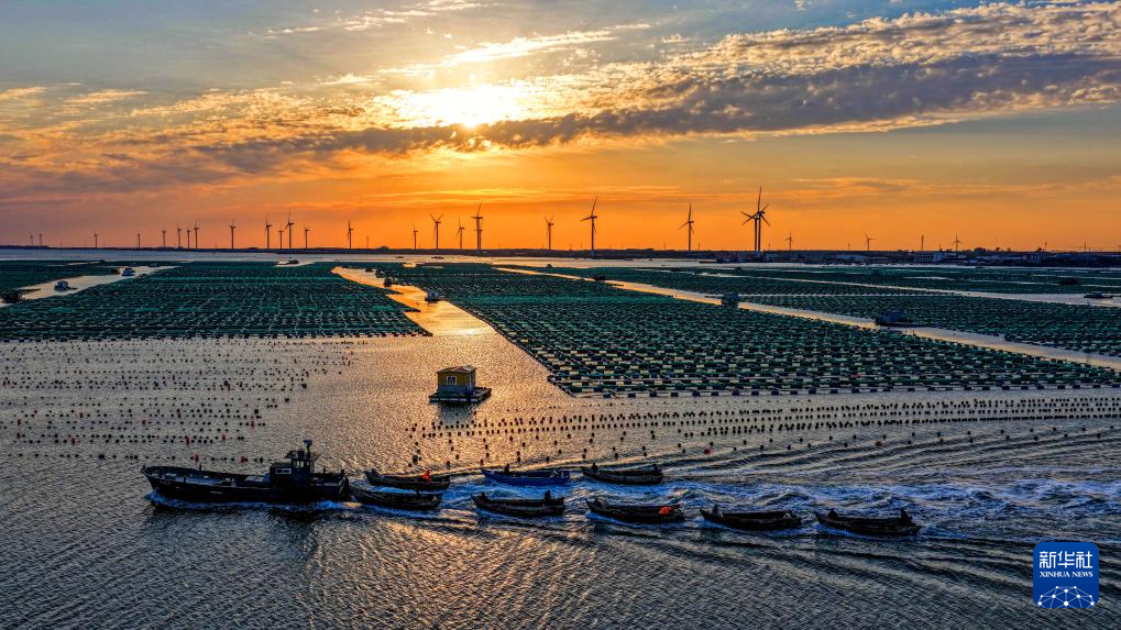 山东扎实推进美丽海湾建设