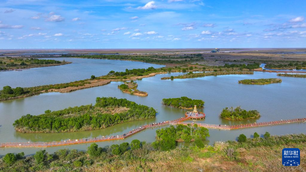 山东扎实推进美丽海湾建设