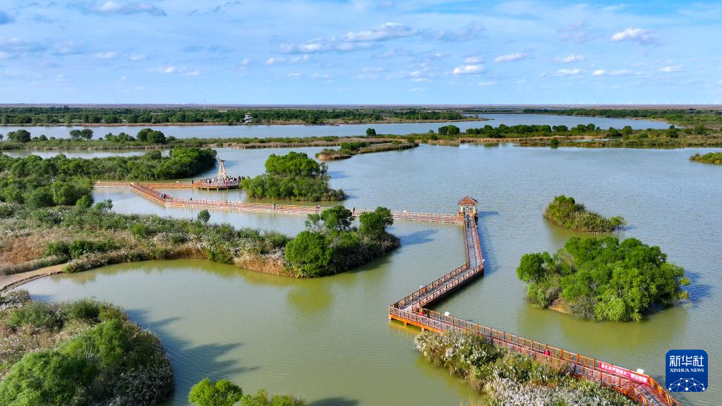 山东扎实推进美丽海湾建设