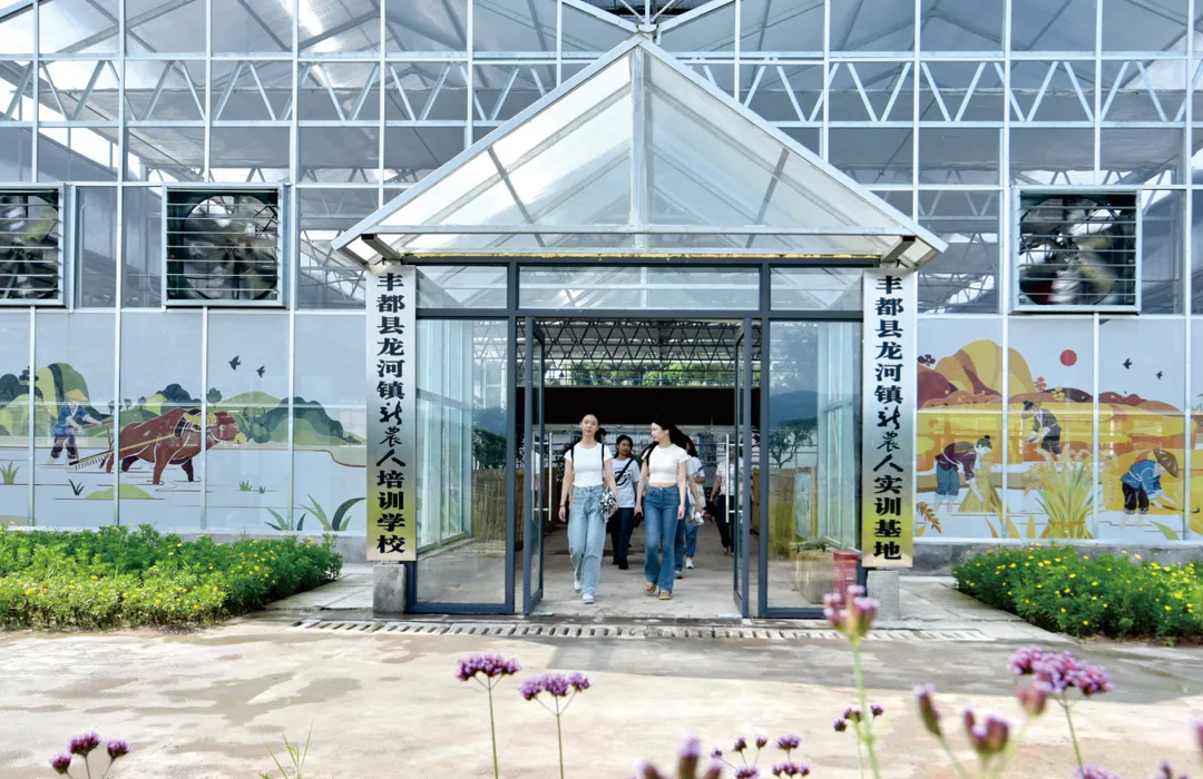 为什么县城留不住人？重庆丰都连抛“八问”破题