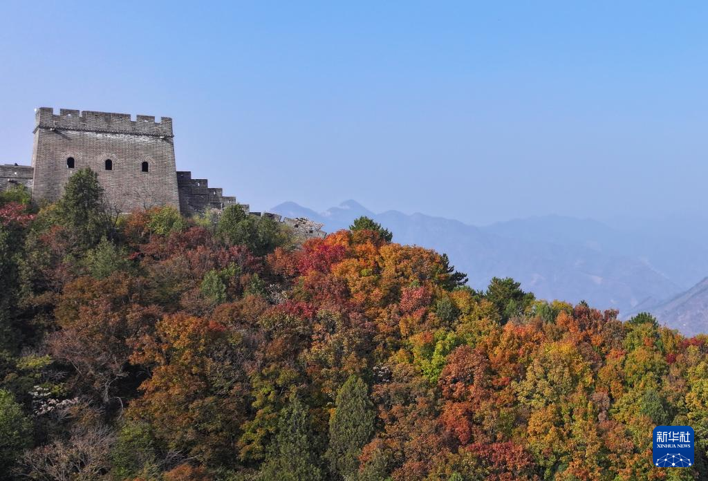 美丽中国丨绚烂秋色 层林尽染