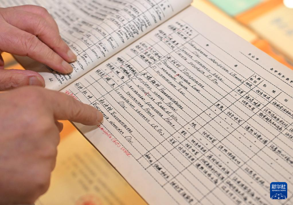 坚守一线的八旬老中医