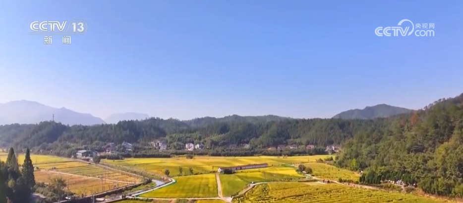 丰收背后尽显“科技范儿” 希望的田野绘就产业兴旺“振兴图”