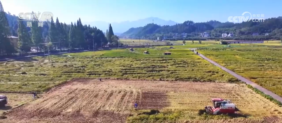 丰收背后尽显“科技范儿” 希望的田野绘就产业兴旺“振兴图”