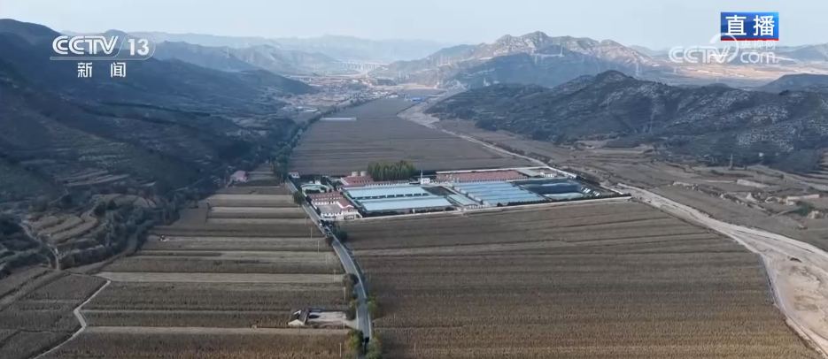 丰收背后尽显“科技范儿” 希望的田野绘就产业兴旺“振兴图”