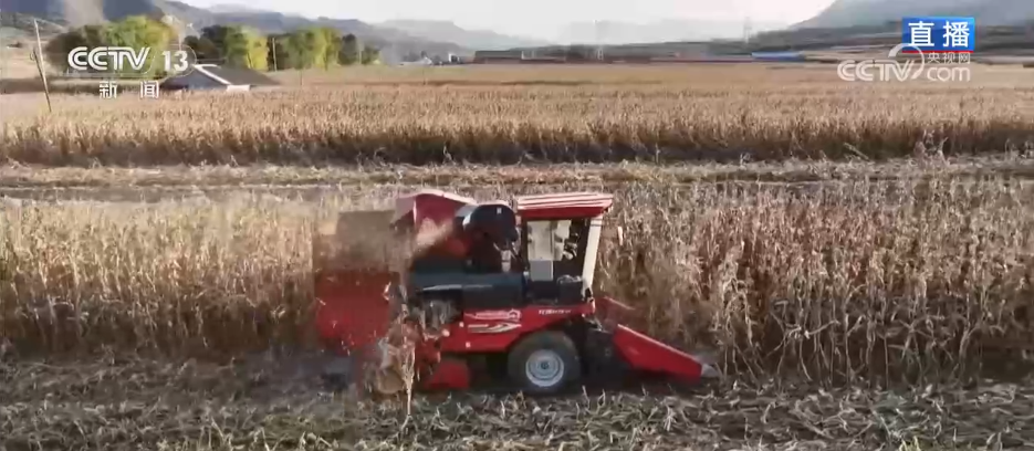 丰收背后尽显“科技范儿” 希望的田野绘就产业兴旺“振兴图”