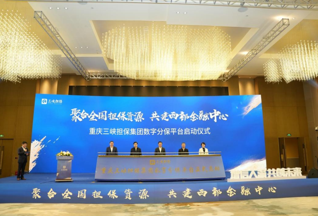 全国担保行业首个数字分保平台在渝上线 首批推出分保项目164个