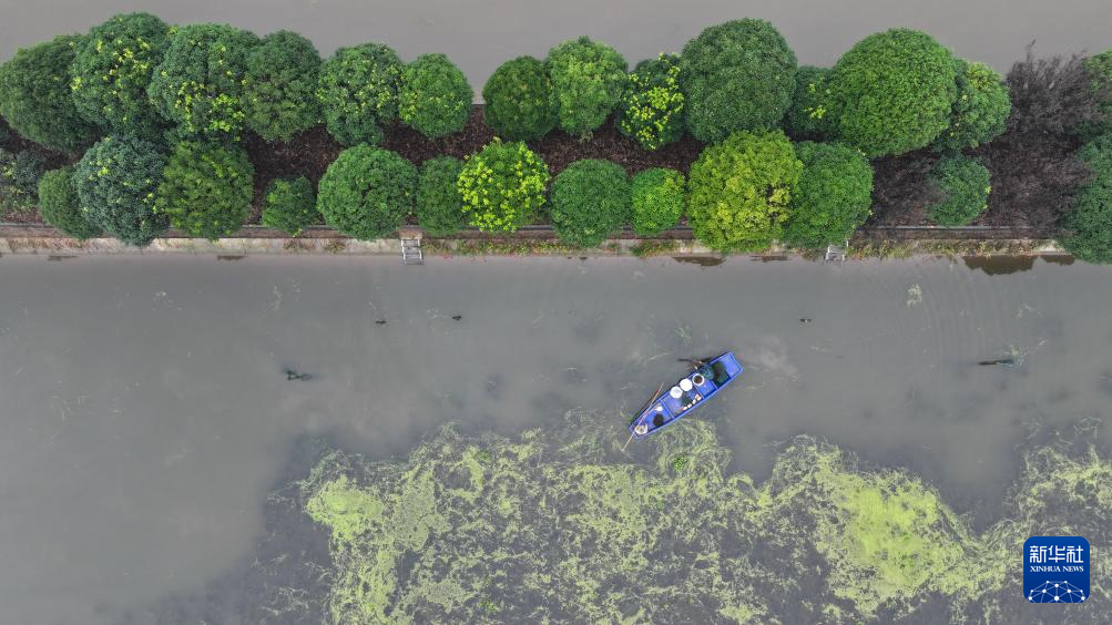 洞庭金秋蟹儿肥