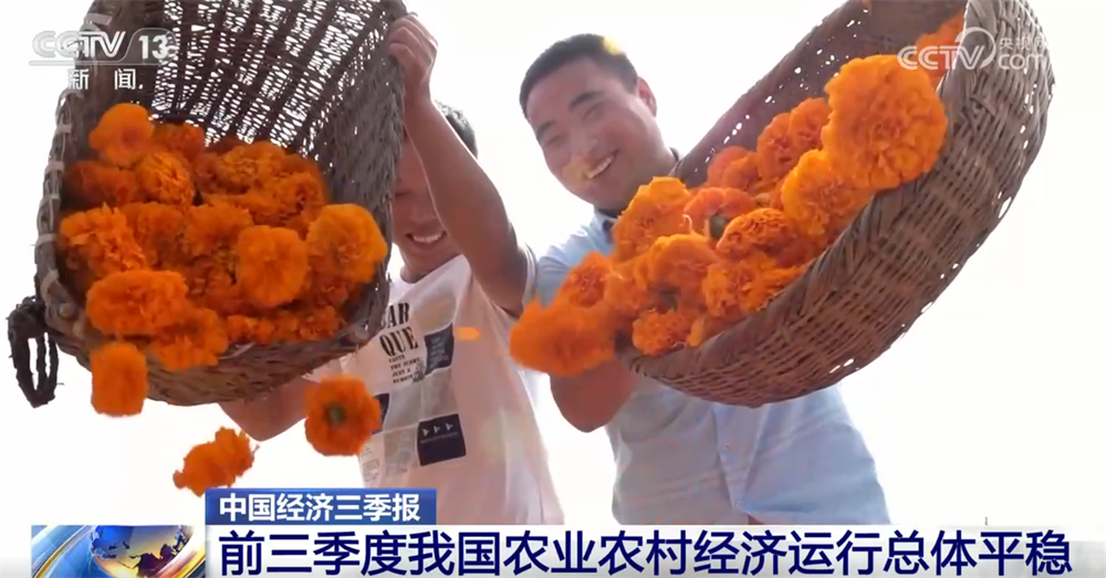 透过数据看前三季度“三农”成绩单 为经济社会高质量发展提供有力支撑