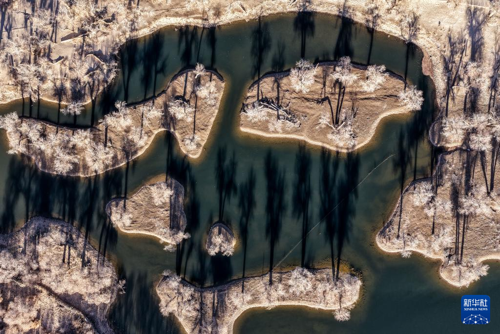 美丽中国丨额济纳:晚秋胡杨美