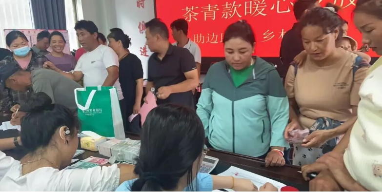 茶香漫峡谷 绿叶变“金叶”——西藏墨脱采茶人劳务品牌的2025年答卷 茶香漫峡谷 绿叶变“金叶”——西藏墨脱采茶人劳务品牌的2025年答卷