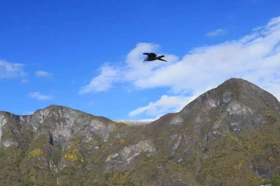 聂茂:我怕我流出的汗水配不上我得到的果实