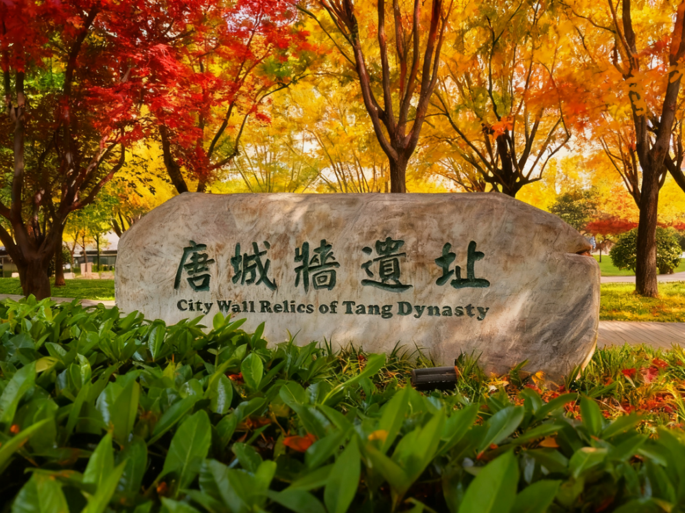 西安新名片！“唐诗之都”，到底有多绝？