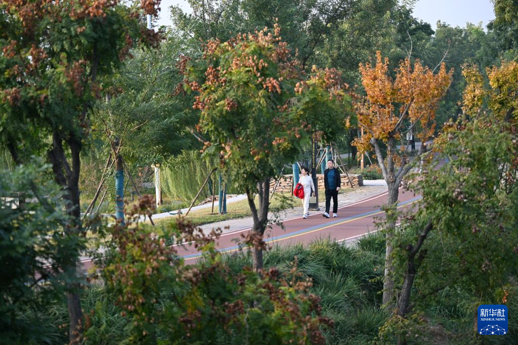 河北沧州:大运河堤顶路铺就美好生活新图景