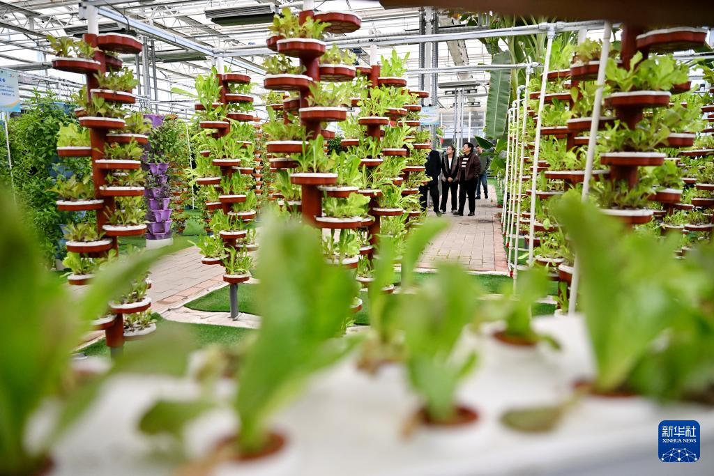 河北沧州:大运河堤顶路铺就美好生活新图景