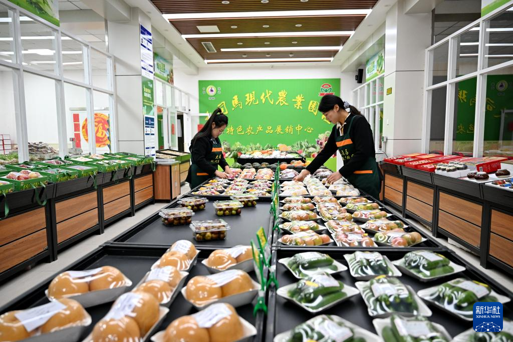 河北沧州:大运河堤顶路铺就美好生活新图景