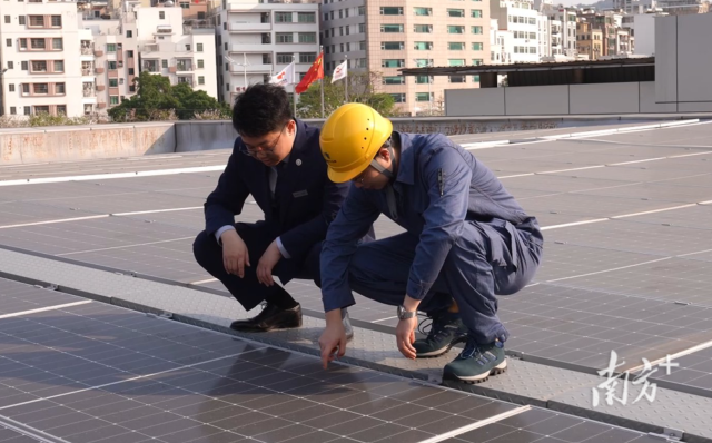 约80万吨碳排放全中和，这届全运会如何做到？｜十五运会经济学