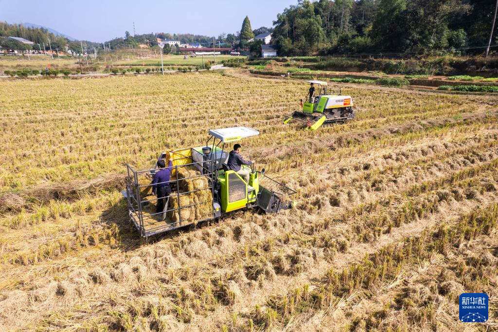 湖南长沙：变废为宝 推进秸秆回收利用