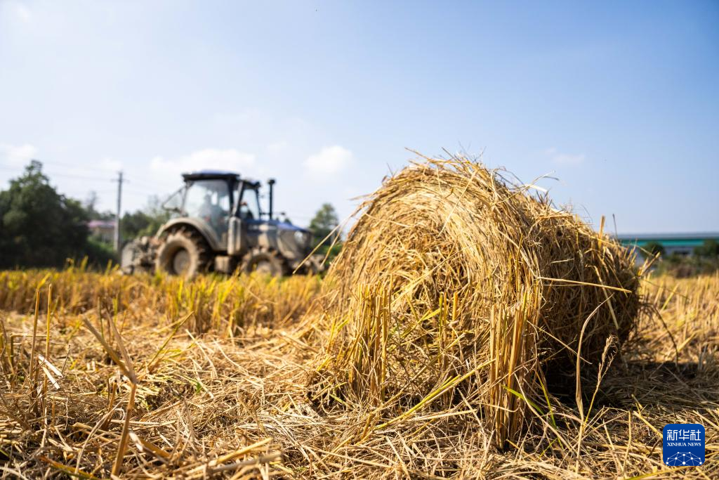 湖南长沙：变废为宝 推进秸秆回收利用