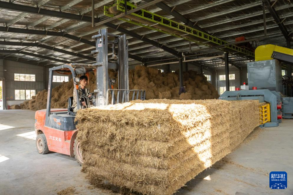 湖南长沙：变废为宝 推进秸秆回收利用