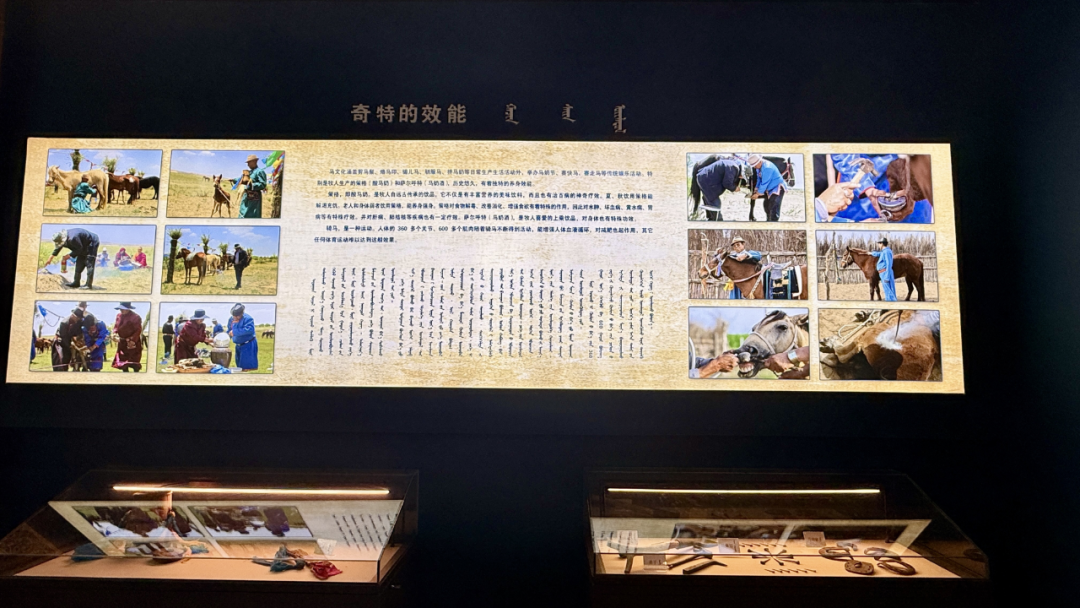 马什亥嘎查:从“马背传承”到“产业勃兴”