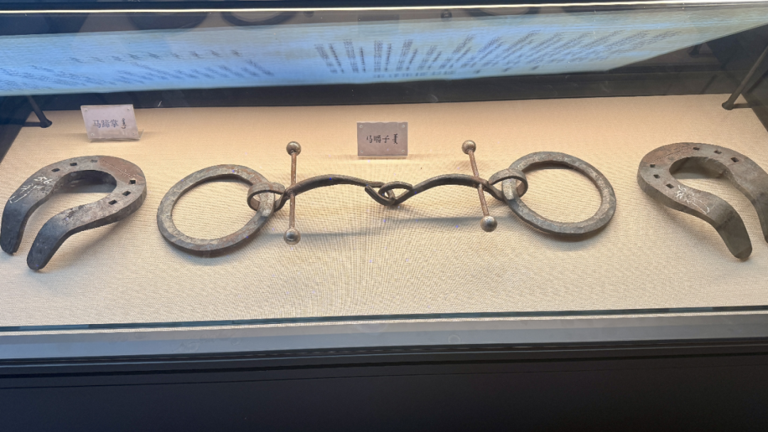 马什亥嘎查:从“马背传承”到“产业勃兴”