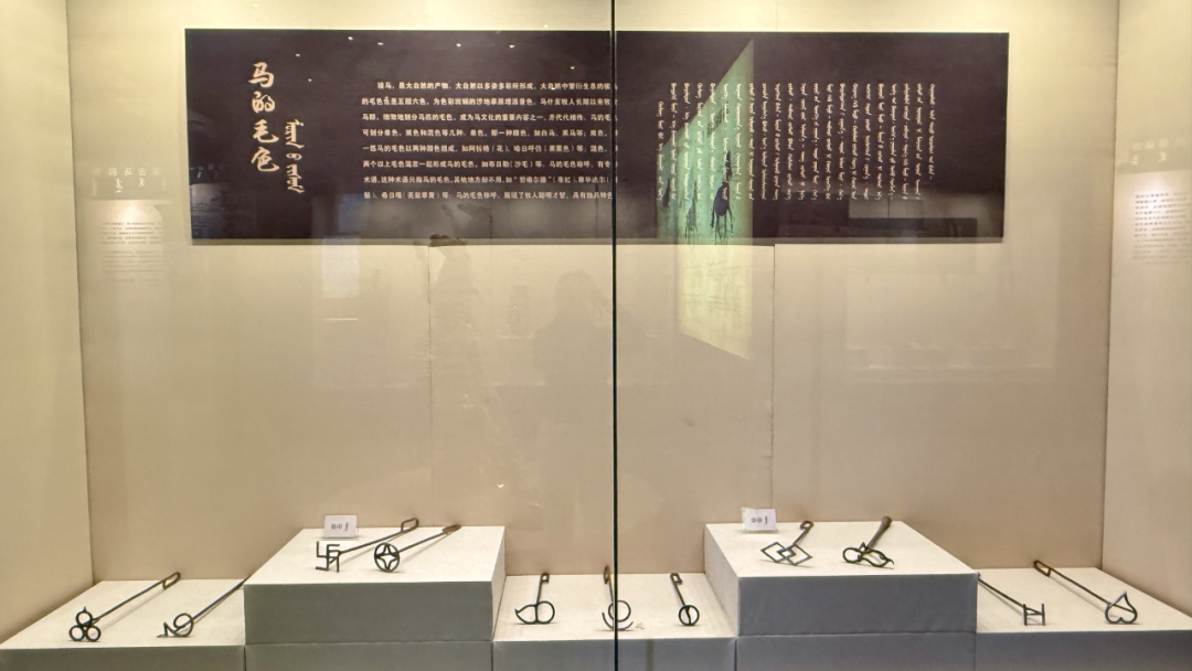 马什亥嘎查:从“马背传承”到“产业勃兴”