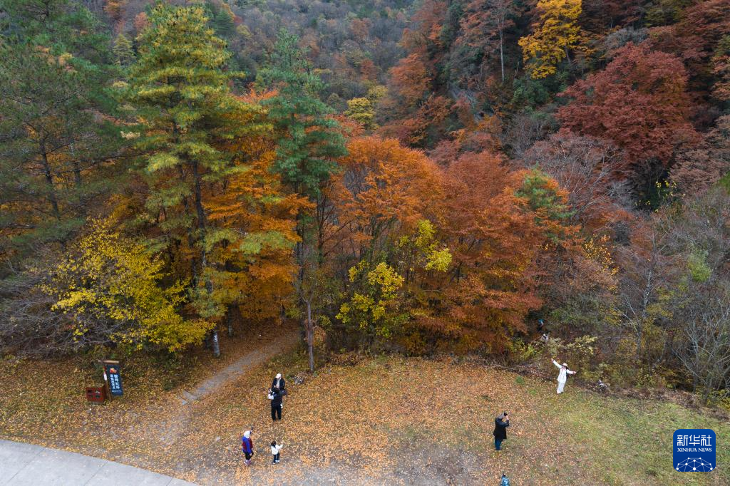 陕西南郑：秋色斑斓