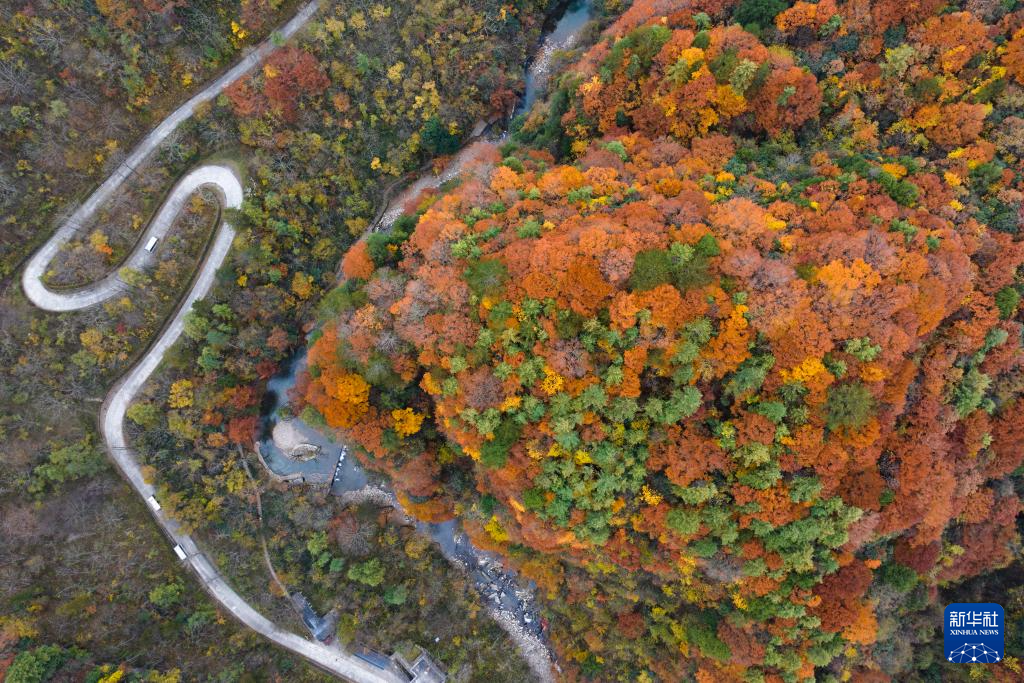 陕西南郑：秋色斑斓