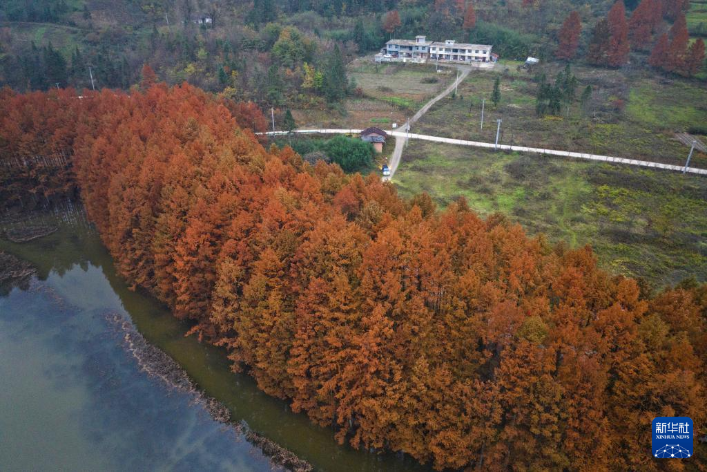 陕西南郑：秋色斑斓