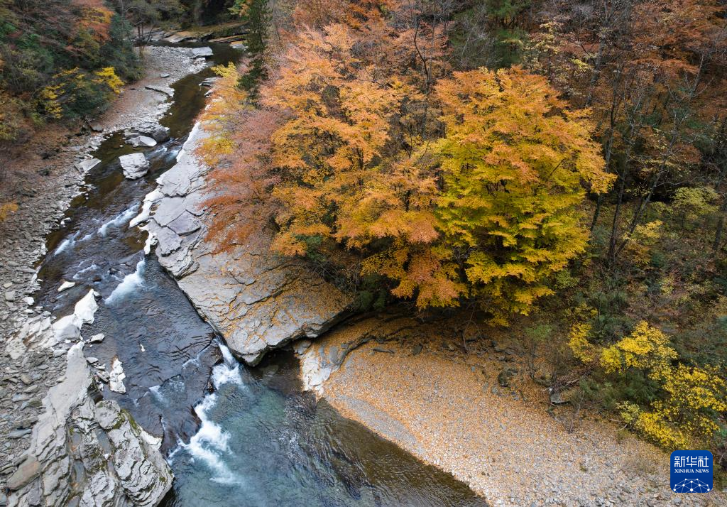 陕西南郑：秋色斑斓