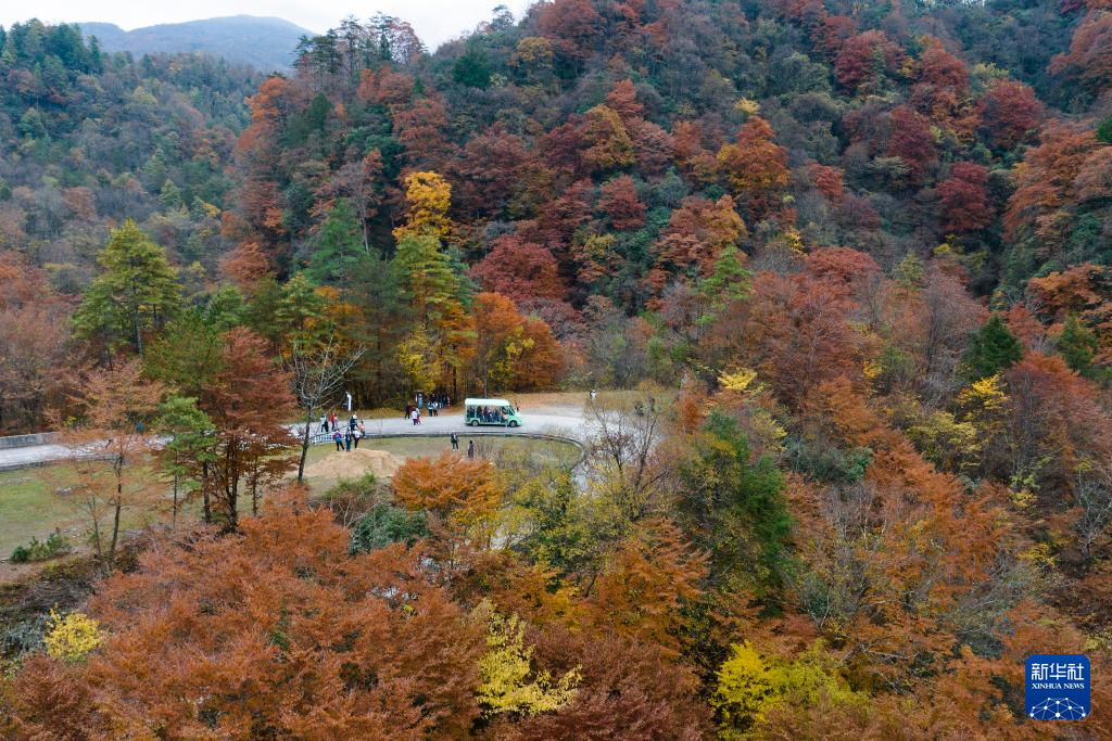 陕西南郑：秋色斑斓