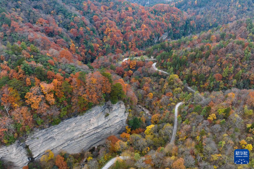 陕西南郑：秋色斑斓