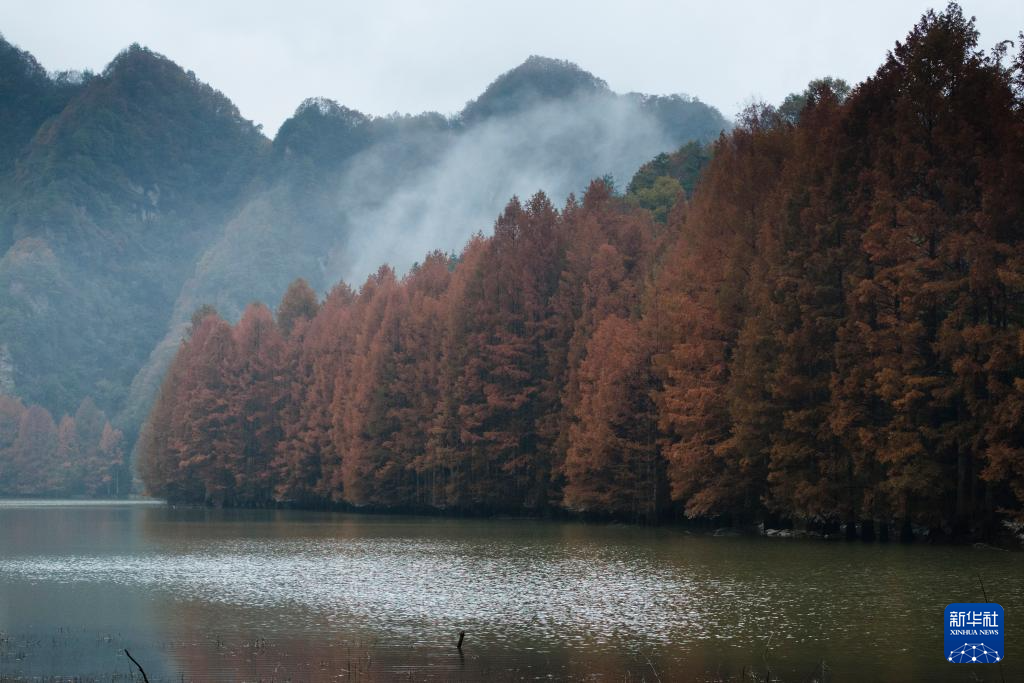 陕西南郑：秋色斑斓