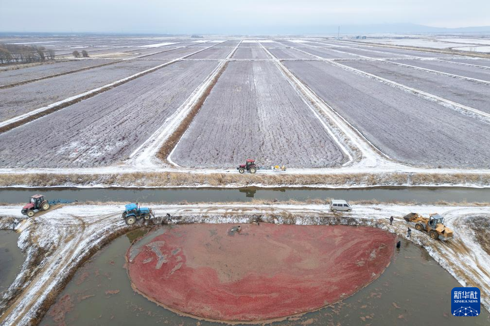 宝藏之城丨这座小城让北美“红宝石”扎根中国