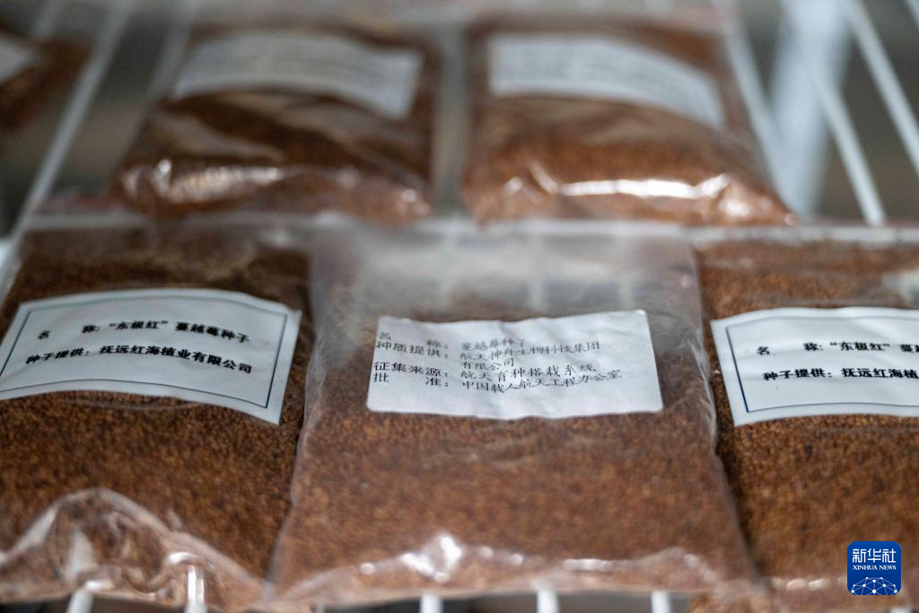 宝藏之城丨这座小城让北美“红宝石”扎根中国