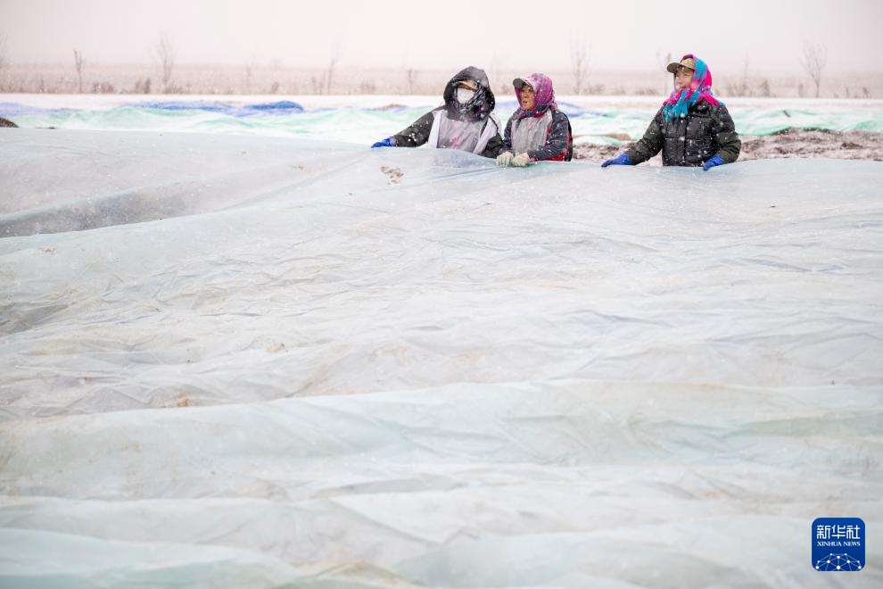 宝藏之城丨这座小城让北美“红宝石”扎根中国