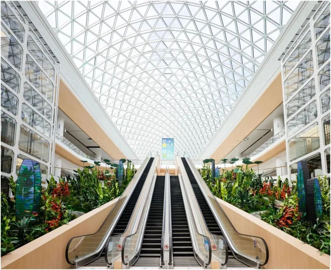 【坪山企讯】“美出天际”的新晋“网红”,坪山的TA参建!