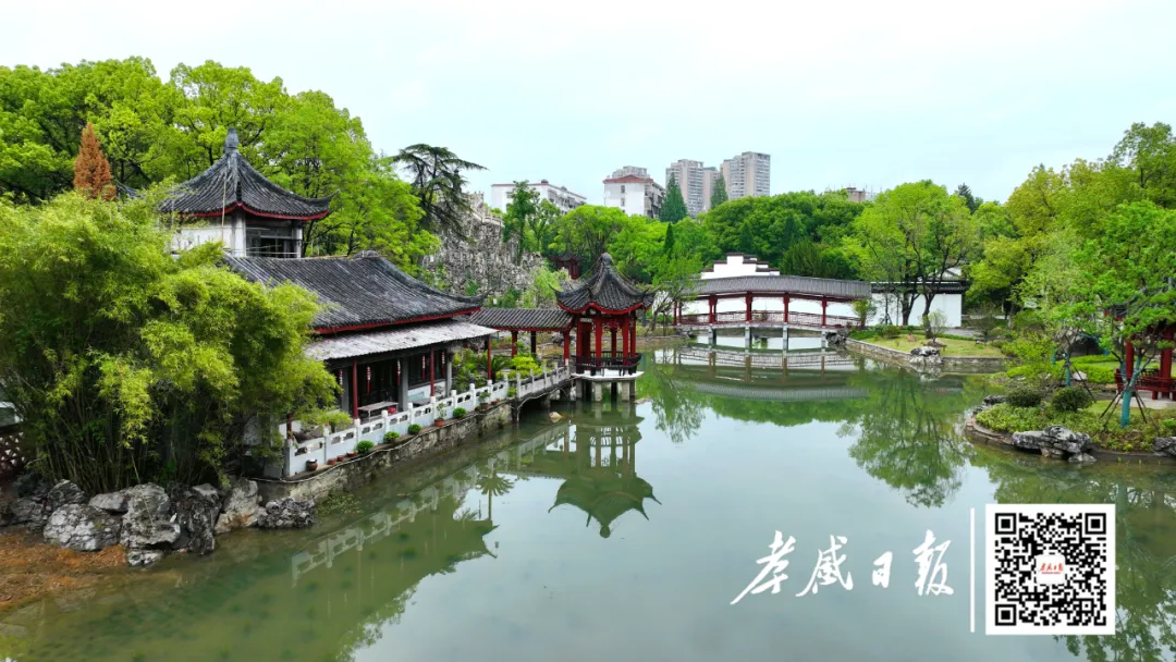 孝感“甜蜜之旅”启程! 图片