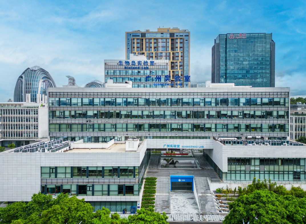 典藏长卷|湾区好运 image.png